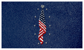 DNSEMP-C-421-SH-BL Flag at Rest Shimmer Blue